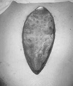 Fiber membranes was securely attached to the surface of the digital material